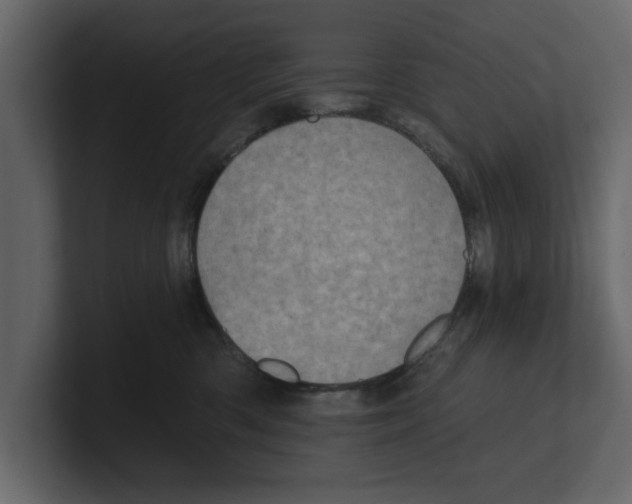 X0000100470426200807111045