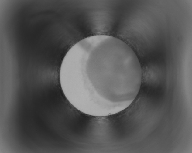 X0000100470427200807111045