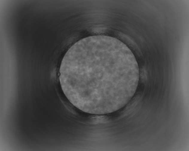 X0000100470428200807111045