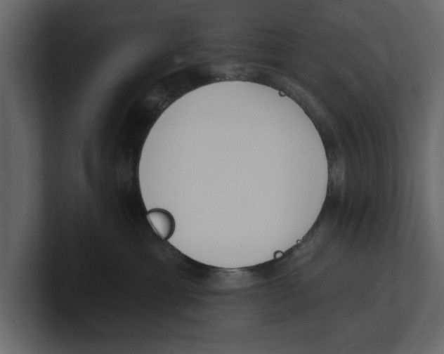 X0000100470429200807111045