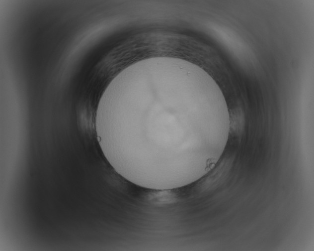 X0000100470431200807111045