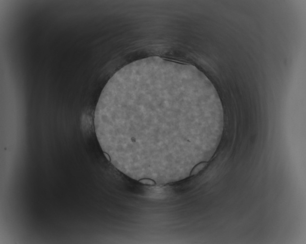 X0000100470432200807111045