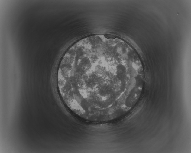 X0000100470433200807111044