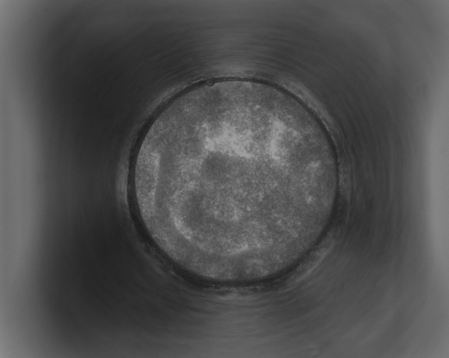 X0000100470434200807111044