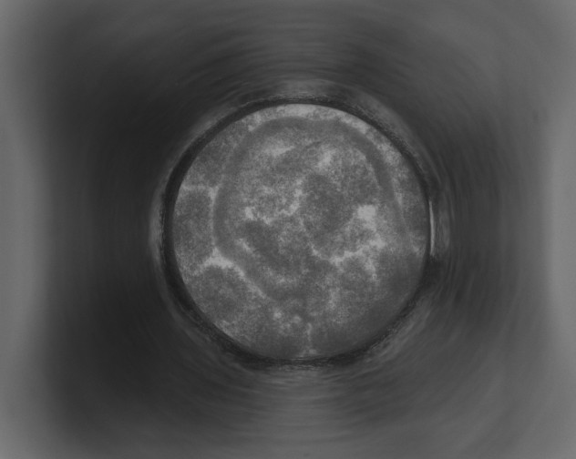 X0000100470435200807111044