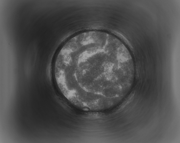 X0000100470439200807111044