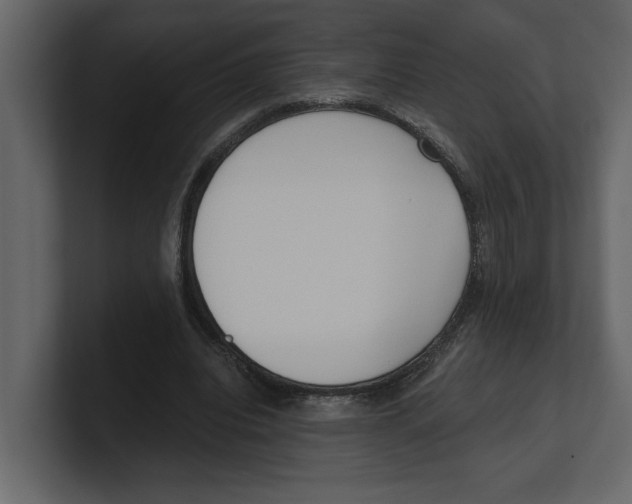 X0000100470440200807111044