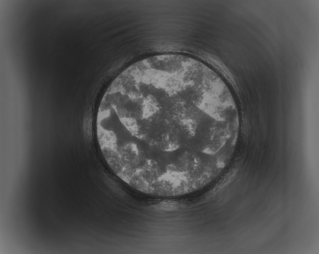 X0000100470441200807111044