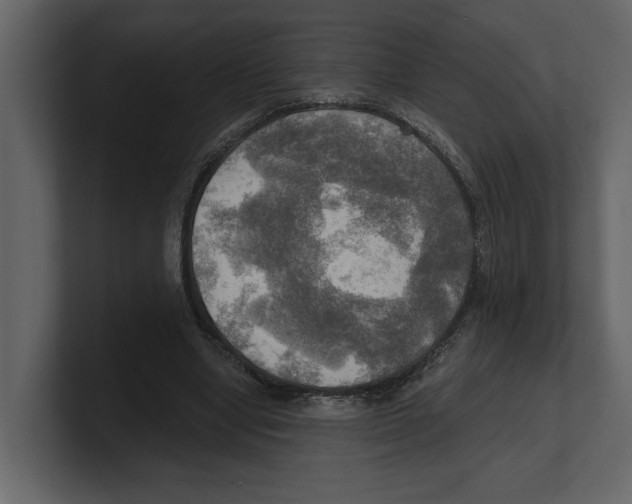 X0000100470442200807111044