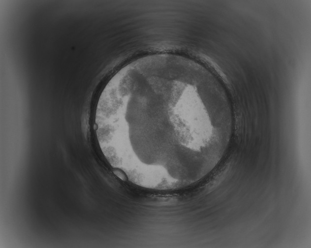 X0000100470443200807111044