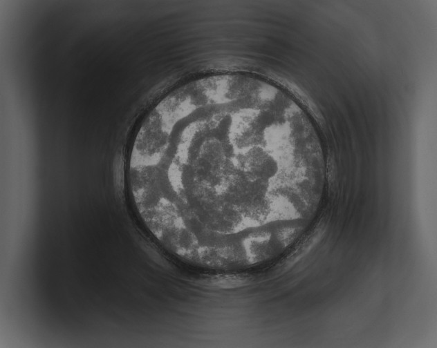 X0000100470445200807111044