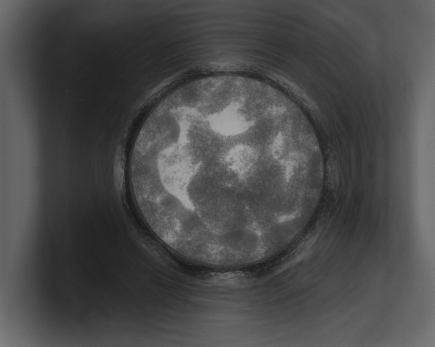 X0000100470446200807111044