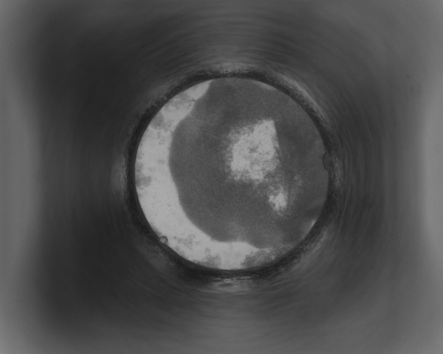 X0000100470447200807111044