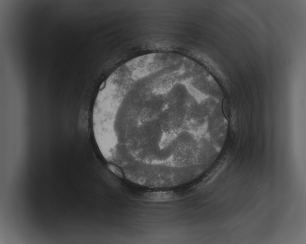 X0000100470449200807111044