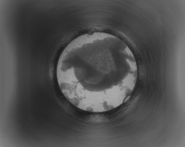 X0000100470451200807111044