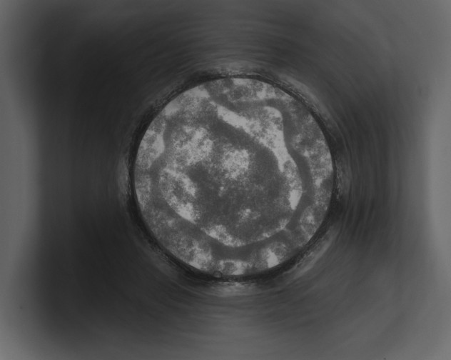 X0000100470453200807111044