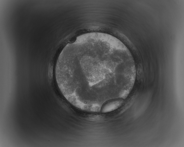 X0000100470454200807111044