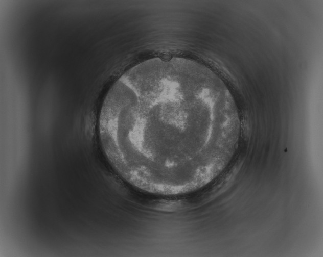 X0000100470458200807111044