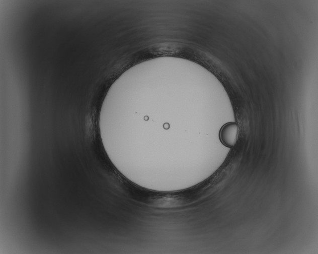 X0000100470460200807111044