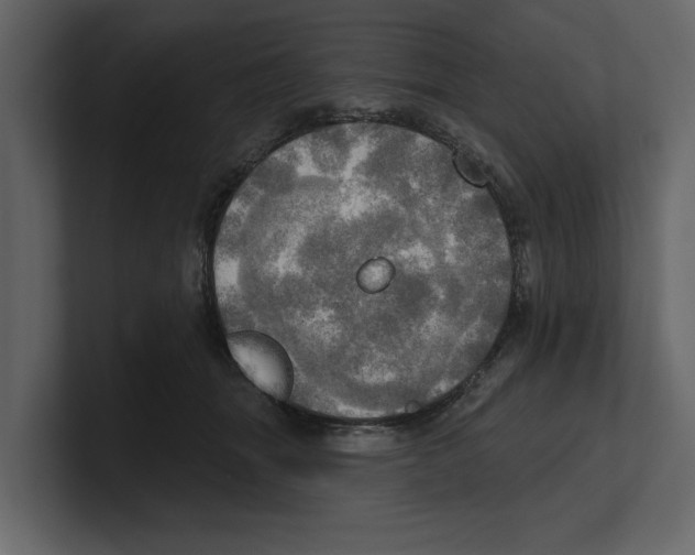 X0000100470463200807111044