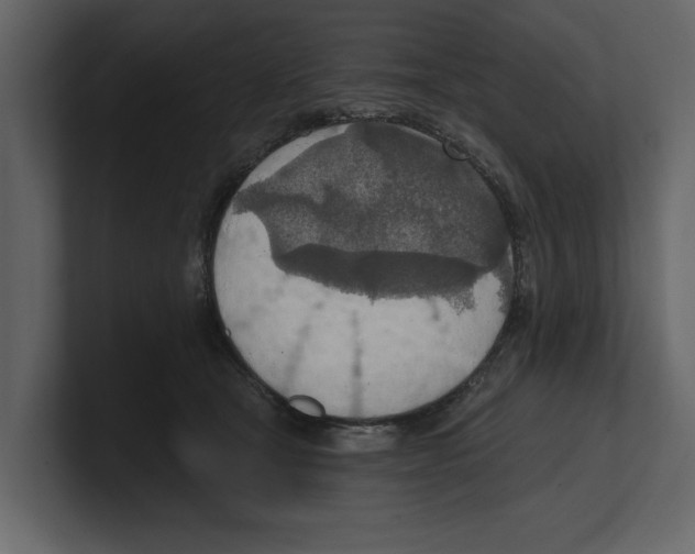 X0000100470465200807111044