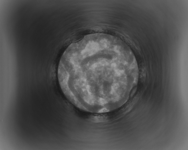 X0000100470466200807111044