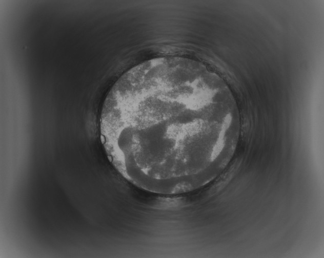 X0000100470469200807111044