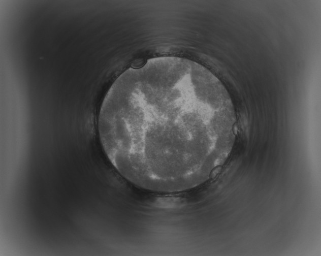 X0000100470470200807111044