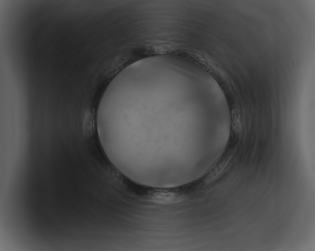 X0000100470471200807111044