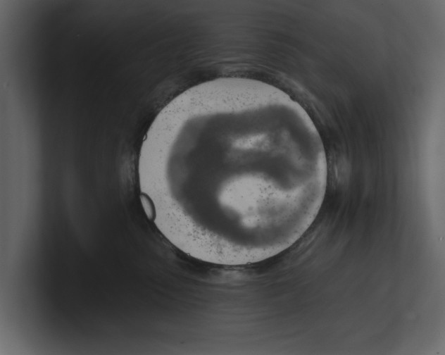 X0000100470475200807111044