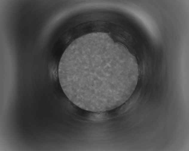 X0000100470479200807111045