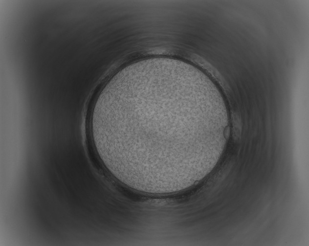 X0000100470482200807111044