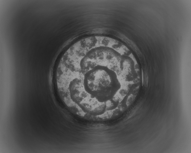 X0000100470483200807111044