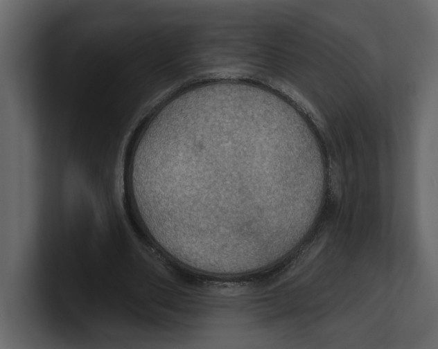 X0000100470486200807111044