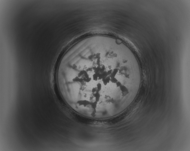 X0000100470487200807111044