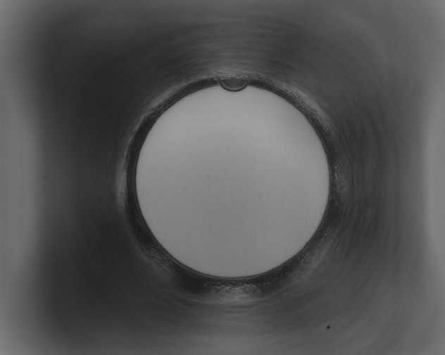 X0000100470488200807111044