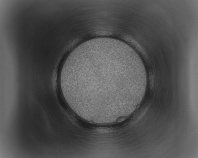 X0000100470490200807111044