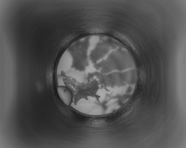 X0000100470491200807111044