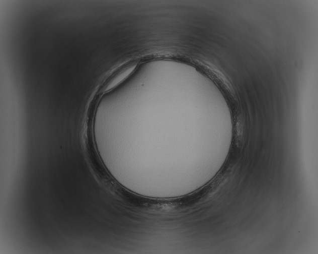 X0000100470492200807111044