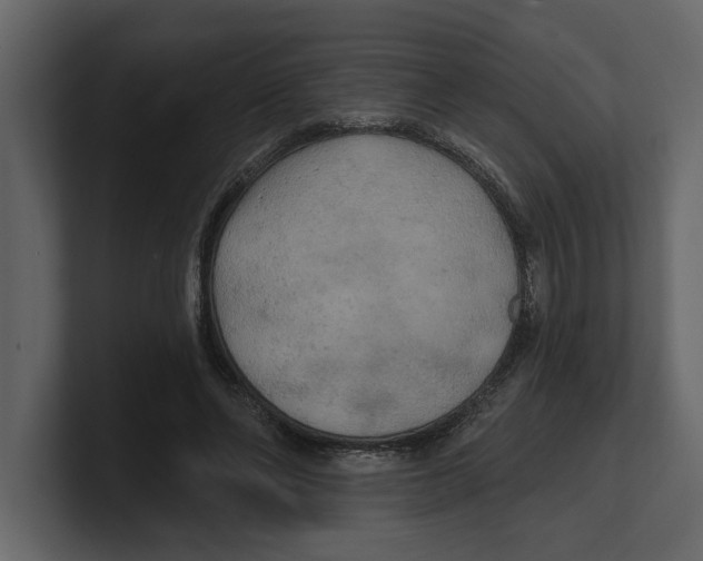 X0000100470494200807111044