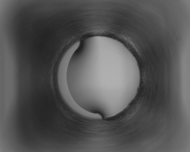 X0000100470495200807111044