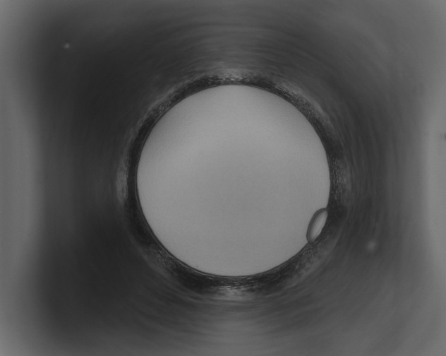 X0000100470496200807111044