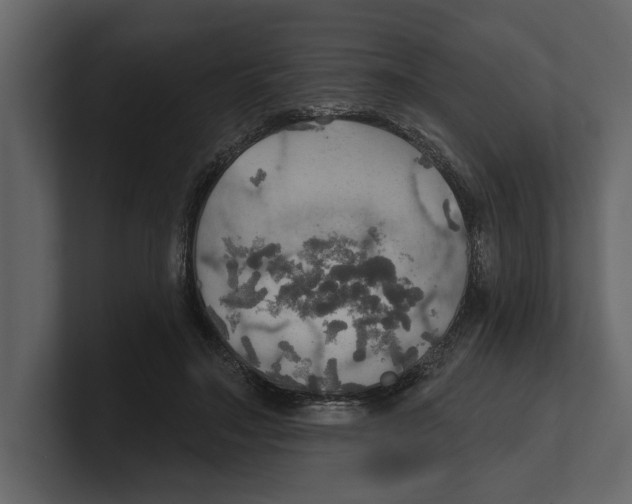 X0000100470499200807111044