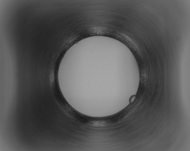 X0000100470500200807111044