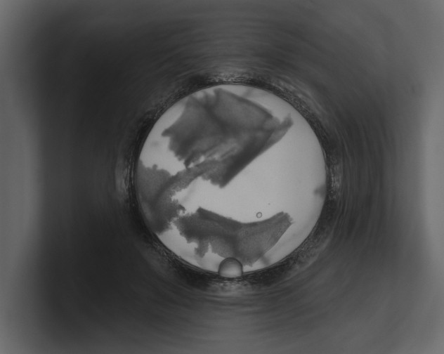 X0000100470503200807111044