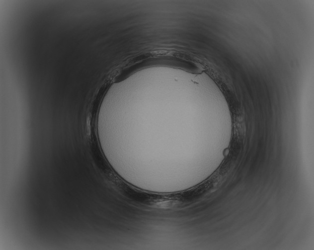 X0000100470504200807111044