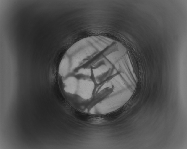 X0000100470507200807111044