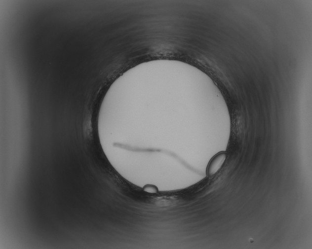 X0000100470508200807111044