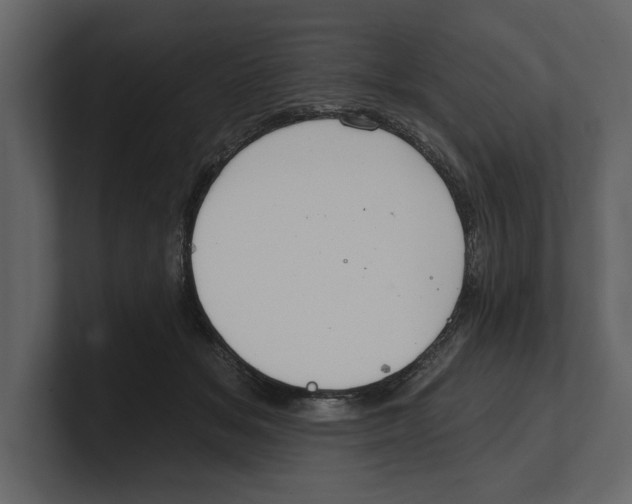 X0000100470509200807111044