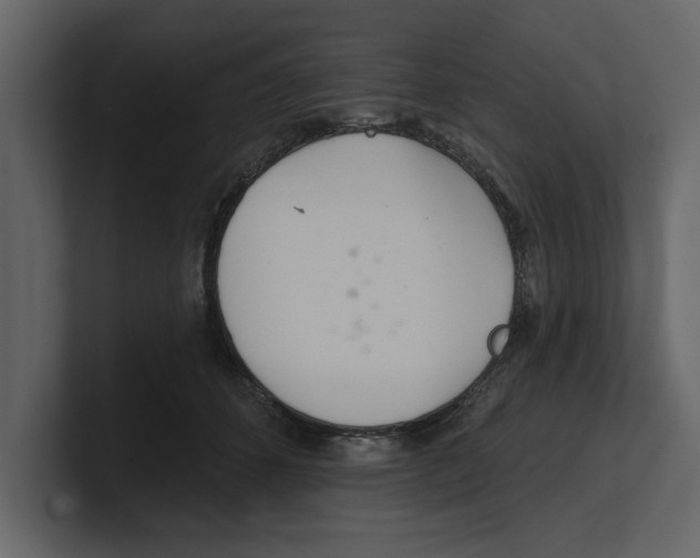 X0000100470512200807111044